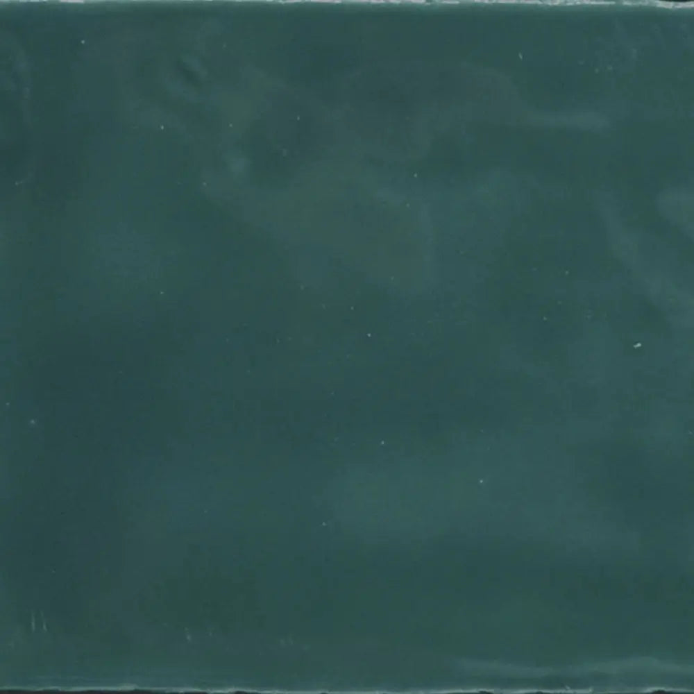 Wandfliesen in Vintage Format 6,5 x 13 cm Glossy Edera SAL