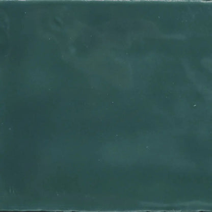 Wandfliesen in Vintage Format 6,5 x 13 cm Glossy Edera SAL